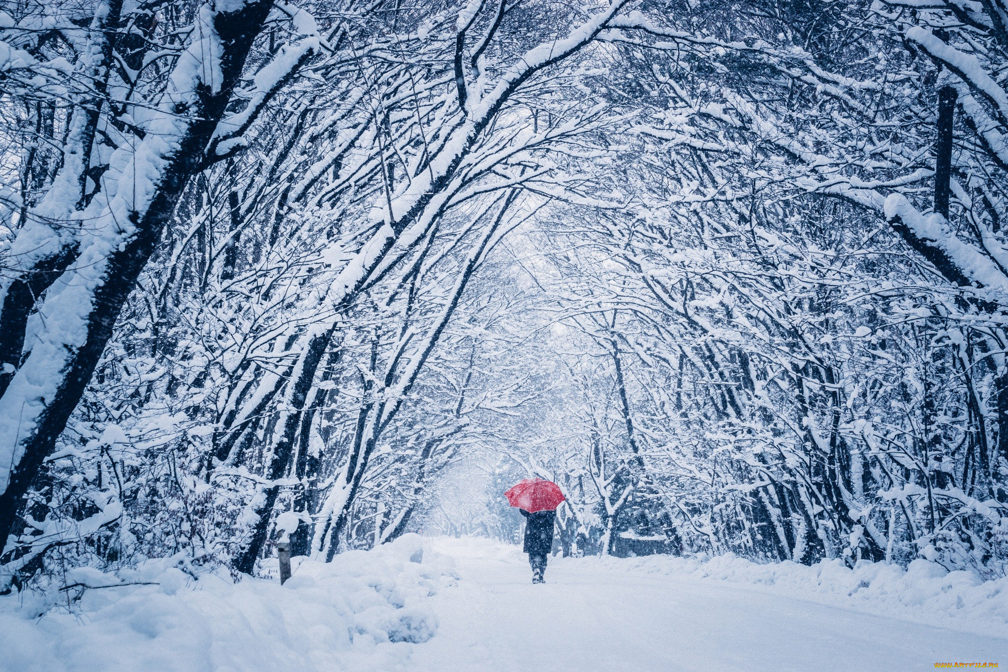 Самые нужные зимой. Зимняя прогулка. Прогулка зимой. Прогулка снег. Прогулка в парке зимой.